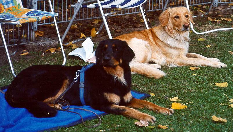 Gundi + Gloria