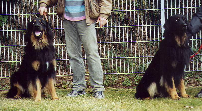 Iv und sein Bruder Iven mit 2 Jahren