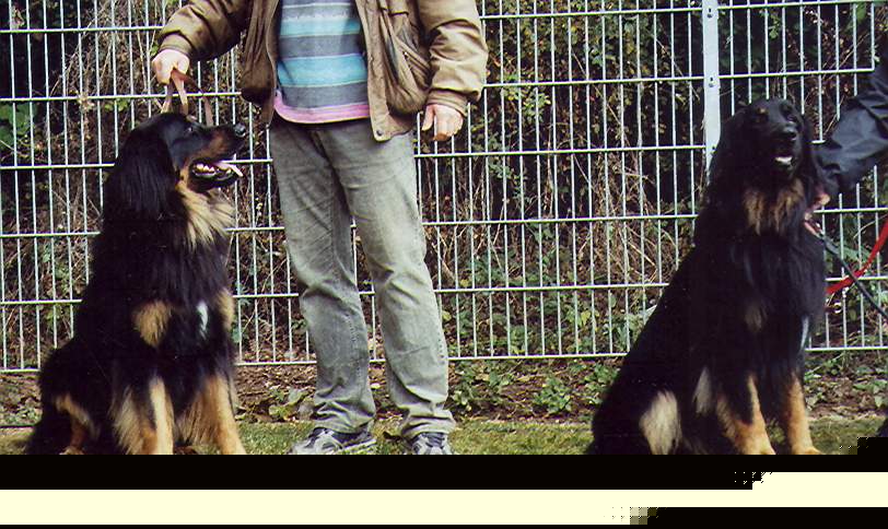 Iv und sein Bruder Iven mit 2 Jahren