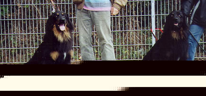 Iv und sein Bruder Iven mit 2 Jahren