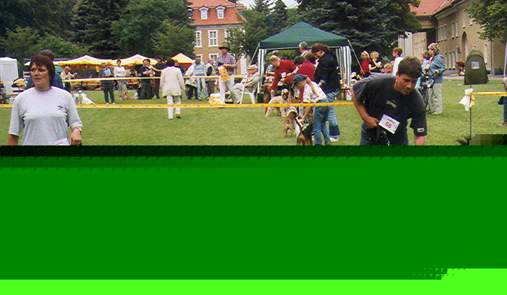 Iven
