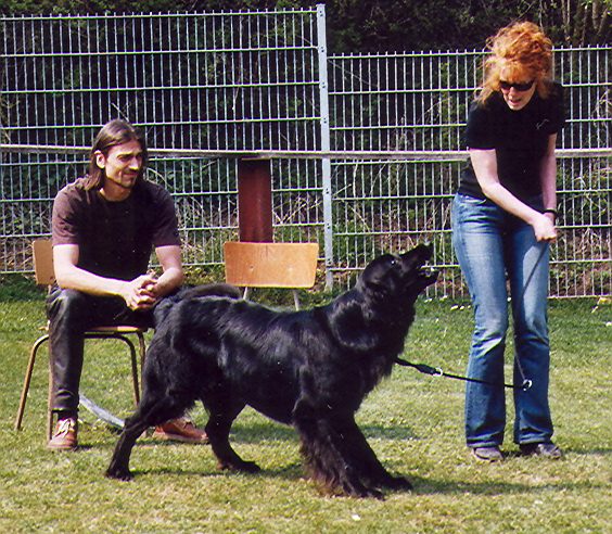Joe von Jesses Meute