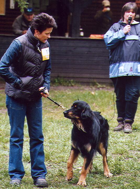 Karuso von Jesses Meute