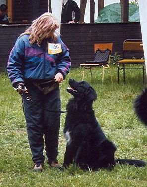 Karlo von Jesses Meute