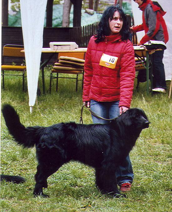 Karacho von Jesses Meute