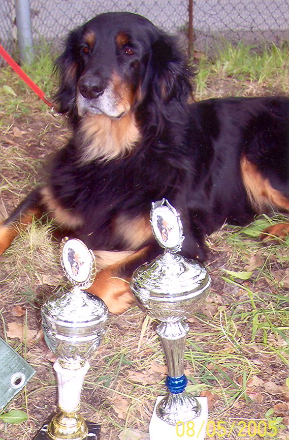 Cilly von der Asseburg