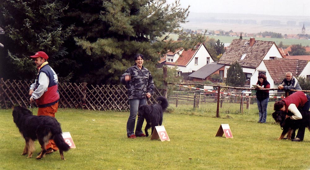 Karacho von Jesses Meute
