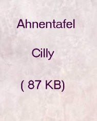 Ahnentafel Cilly
