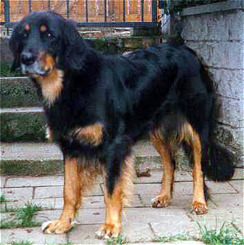 ..
