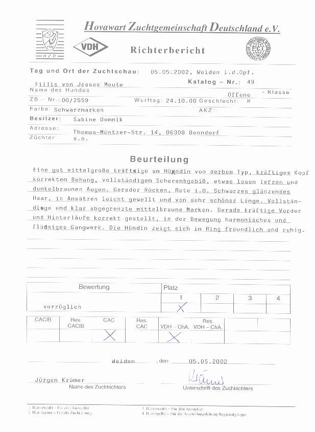 Beurteilung Fillis